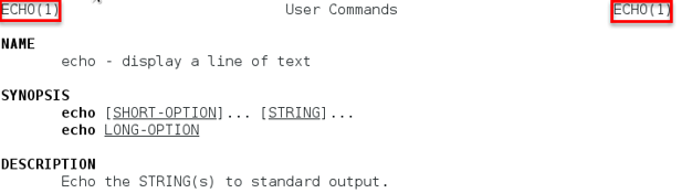 Man page section