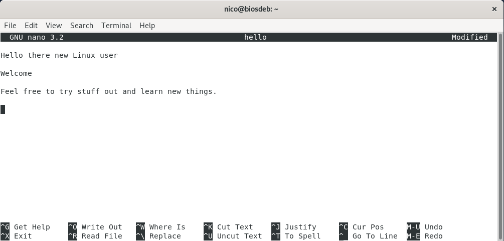 Nano Text Editor