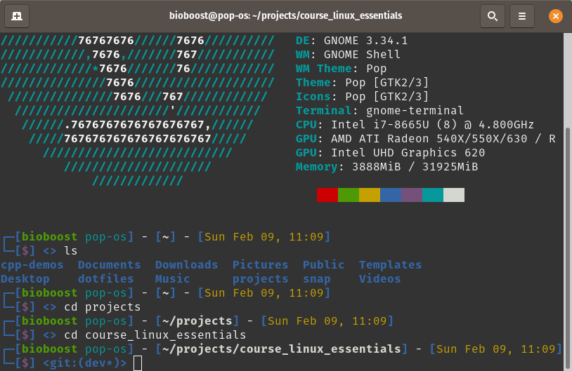 Zsh shell